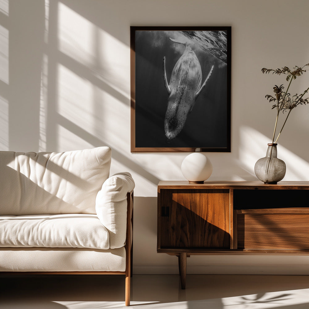 Black & Whale Poster